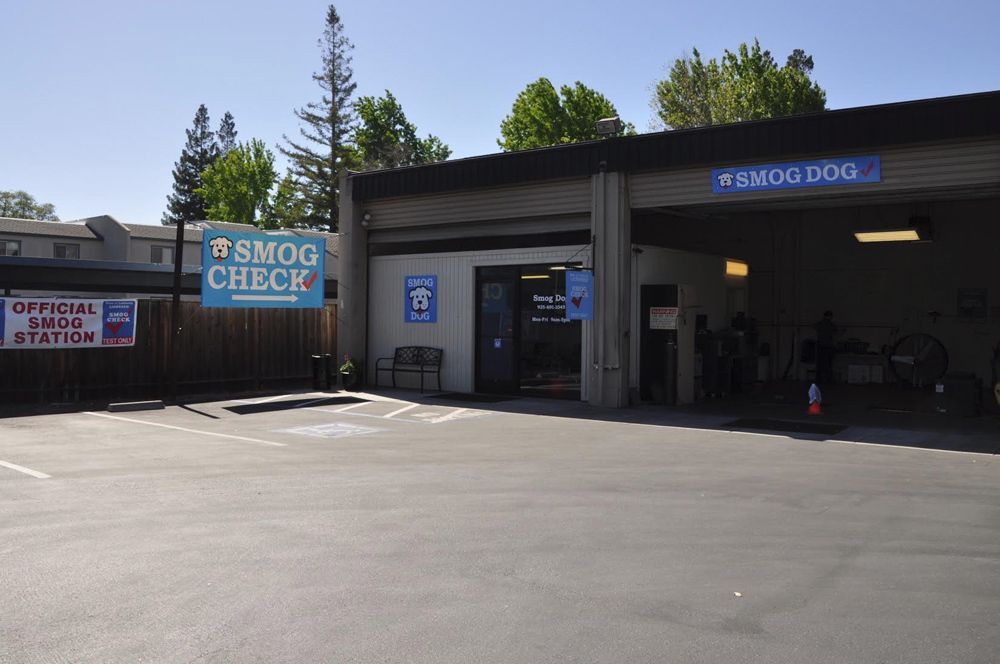 The Smog Dog station on Contra Costa Blvd: a blue SMOG CHECK sign with an arrow, an Official Smog Station banner and the open test bay under a Smog Dog sign