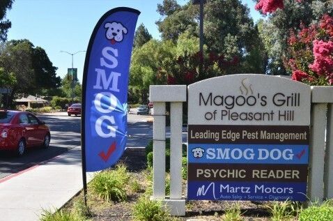 Street sign on Contra Costa Blvd reading Magoo’s Grill of Pleasant Hill, with a blue Smog Dog panel, next to a blue Smog Dog feather flag